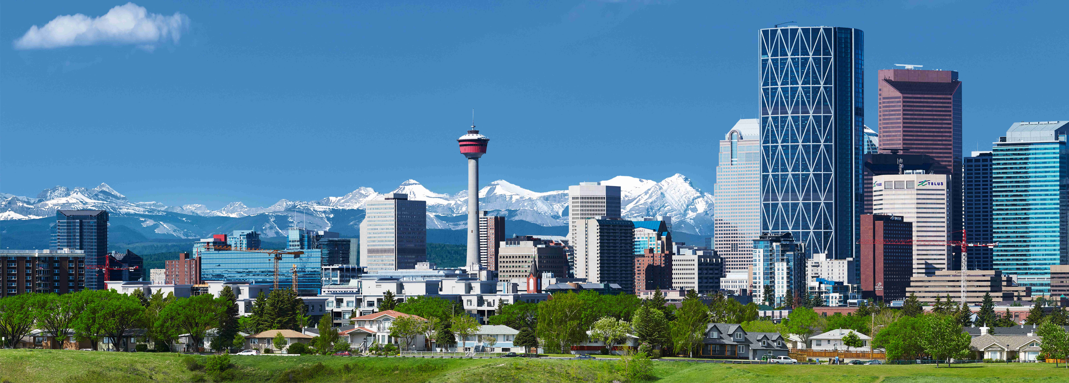 contact background image